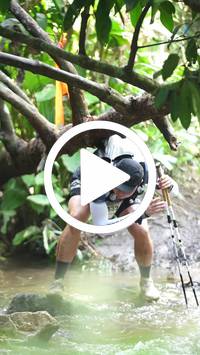 BIB:  <button type="button" onclick="openModal(27483938)" class="btn btn-primary btn-sm float-right" data-toggle="modal" data-target=".modal-high-quality">
                <i class="fa fa-download"></i> Download
                </button>